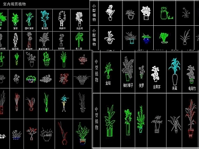 现代综合植物图库 植物景观 植物立面 施工图