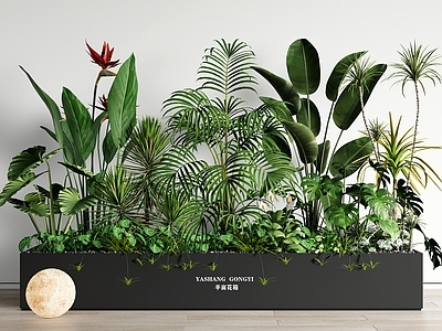 植物组合 花箱 室内造景 堆