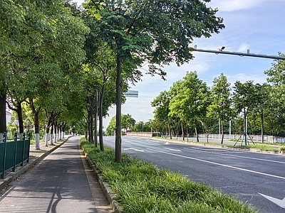 现代街道外景 人行道 绿化 夏季