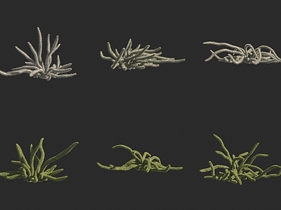花草组合 阿修罗城龙树花草
