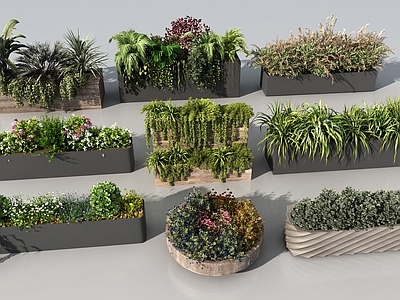 植物组合 现代花坛组合 景观花箱 花草植物组合 外摆绿植花箱 绿植盆景花箱