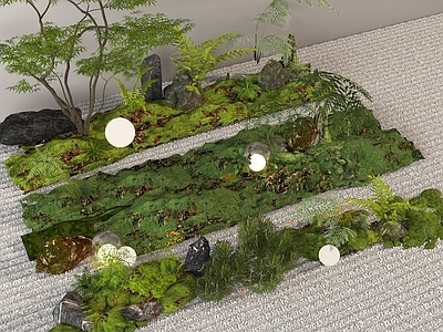 植物堆 小品 苔藓 造景 植物组合 微地形