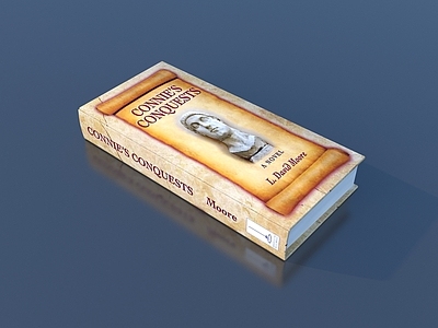 书籍 书 笔记本 名著