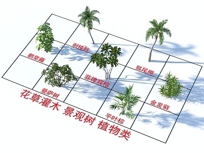 其他树木 树 植物类