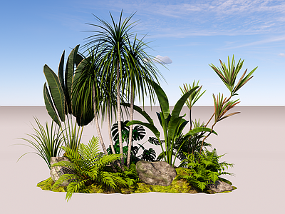 植物组合 热带植物组合 树池植物组合