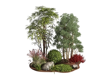 植物组合 树池植物组合 景观树 灌木