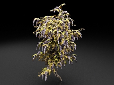 花草组合 山紫藤 短梗紫藤 紫藤花 植物 花卉