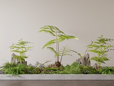 植物堆 植物堆 造景