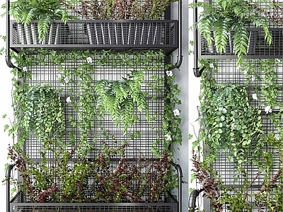 绿植墙
