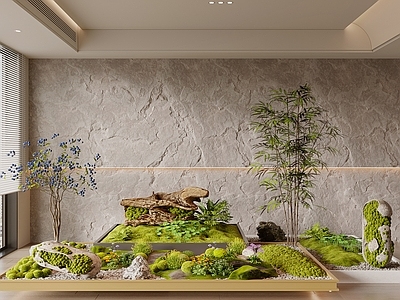 植物组合 苔藓造景 苔藓 植物造景 景观小品 蕨类植物