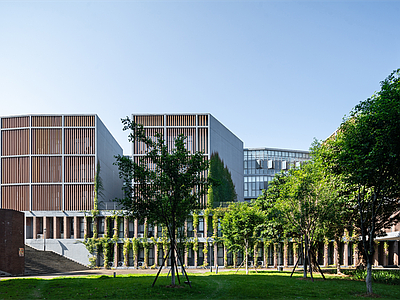 现代学校建筑 大学 华侨大学厦门 教学楼学校 学校操场