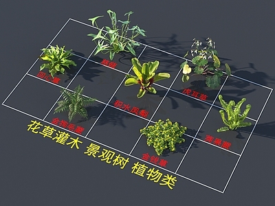 花草组合 花草灌木 树