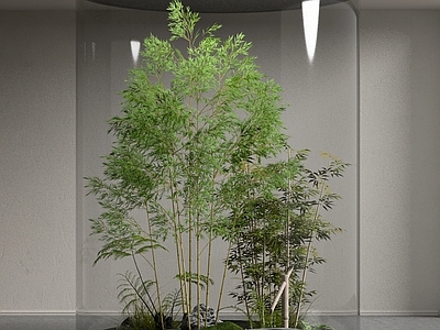 植物堆 室内竹子石头植物