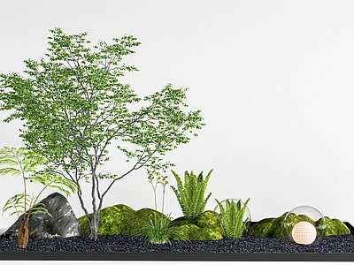 植物组合 树池植物组合 植物堆 景观小品 植物造景