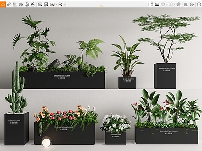 植物组合 花箱 组合 花箱 堆 花池花坛