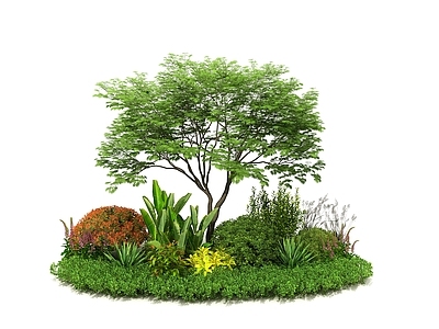 植物堆 现代植物灌木