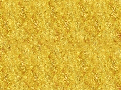 现代金箔银箔 金箔 云片状金箔 进口高级香槟金花