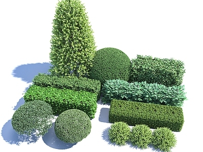 其他绿植 绿篱 灌木 植物隔离带 绿化带 绿篱墙灌木丛
