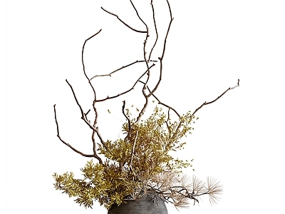 花草组合 现代花艺