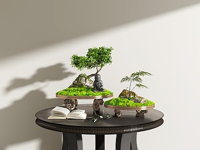 盆景 盆景 植物 微