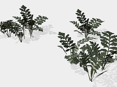 草 杂草 小草 卡通植物 草 卡通叶子