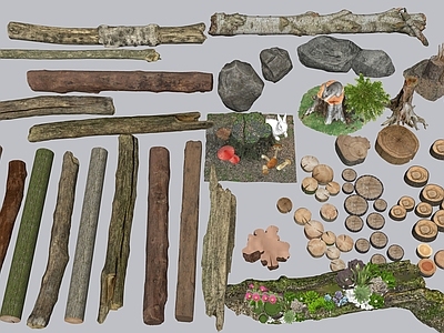 木头 木桩 木桩 枯木 旧木