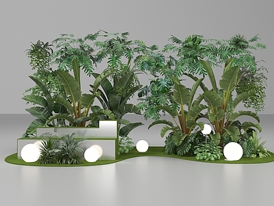 其他绿植 绿植DP 绿植打卡点