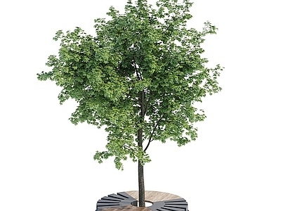 其他景观小品