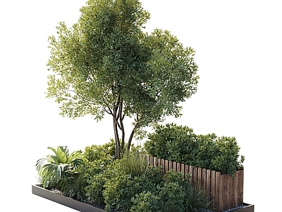 其他绿植