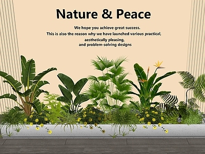 植物组合 植物堆 植物组合 庭院小品 庭院景观 花箱