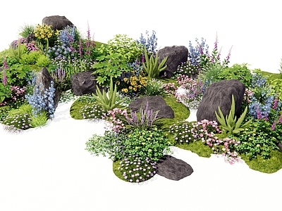 花草组合 花境 植物堆 植物组合 天冬 石头