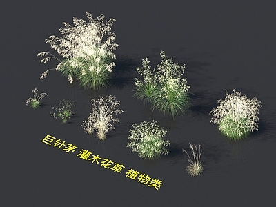 花草组合 巨针茅 灌木花草