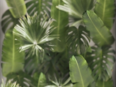 绿植墙