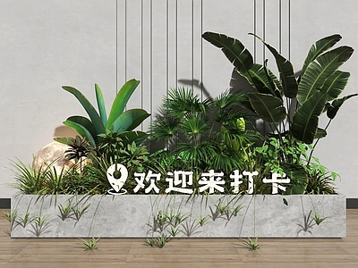 植物堆 绿植花箱 现代花箱 绿植堆 网红绿植打卡点 月球灯