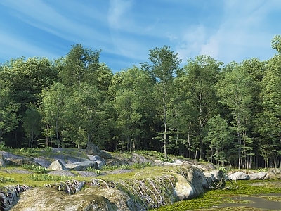 现代其他景观 户外景观 深林 树林 水景