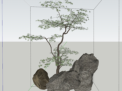 植物组合 景石 树池植物组合 盆栽组合