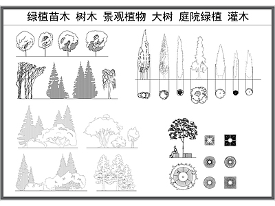 现代树 绿植苗木 大 木 绿植 园林景观绿化 施工图