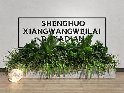 其他绿植 花箱 现代花箱 户外 月球灯