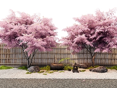 景观树 樱花树 微地形 小品 石头 苔藓植物