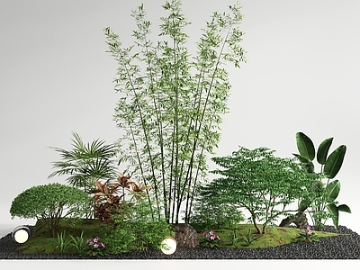 植物堆 小品 植物组合 造景 园林