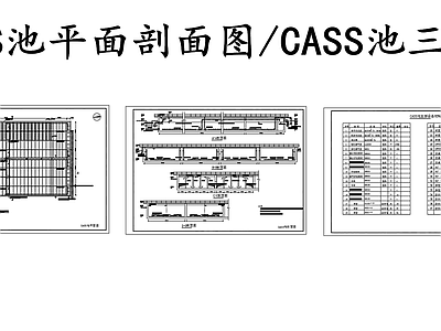 水处理 CASS池平剖面 CASS池 施工图