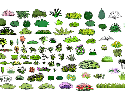 现代综合植物图库 绿植图库 施工图