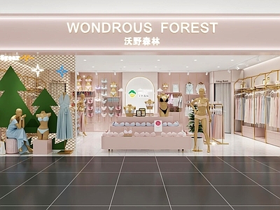 现代服装店 女装店 服装店 内衣店 女士内衣店