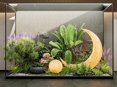 植物组合 室内堆 月亮雕塑小品 花草 花境 庭院小品