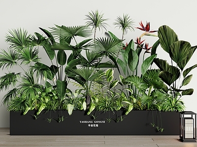 植物组合 花箱 花箱 堆 花草组合