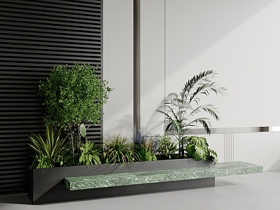植物组合 植物堆 景观植物 树池 植物组合