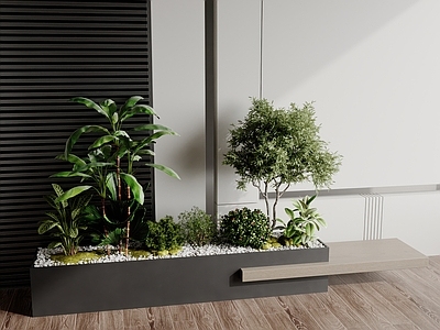 植物组合 植物堆 景观植物 树池 植物组合