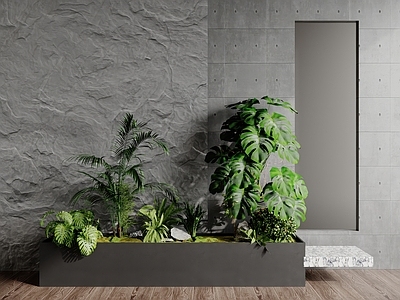 植物组合 植物堆 景观植物 树池 植物组合