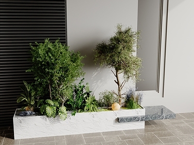 植物组合 植物堆 景观植物 树池 植物组合