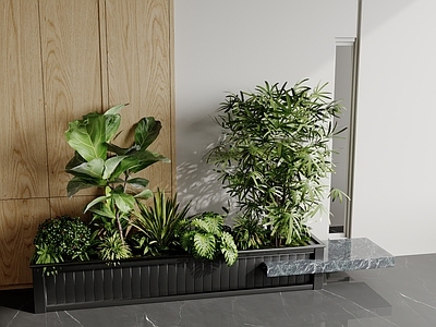 植物组合 植物堆 景观植物 树池 植物组合
